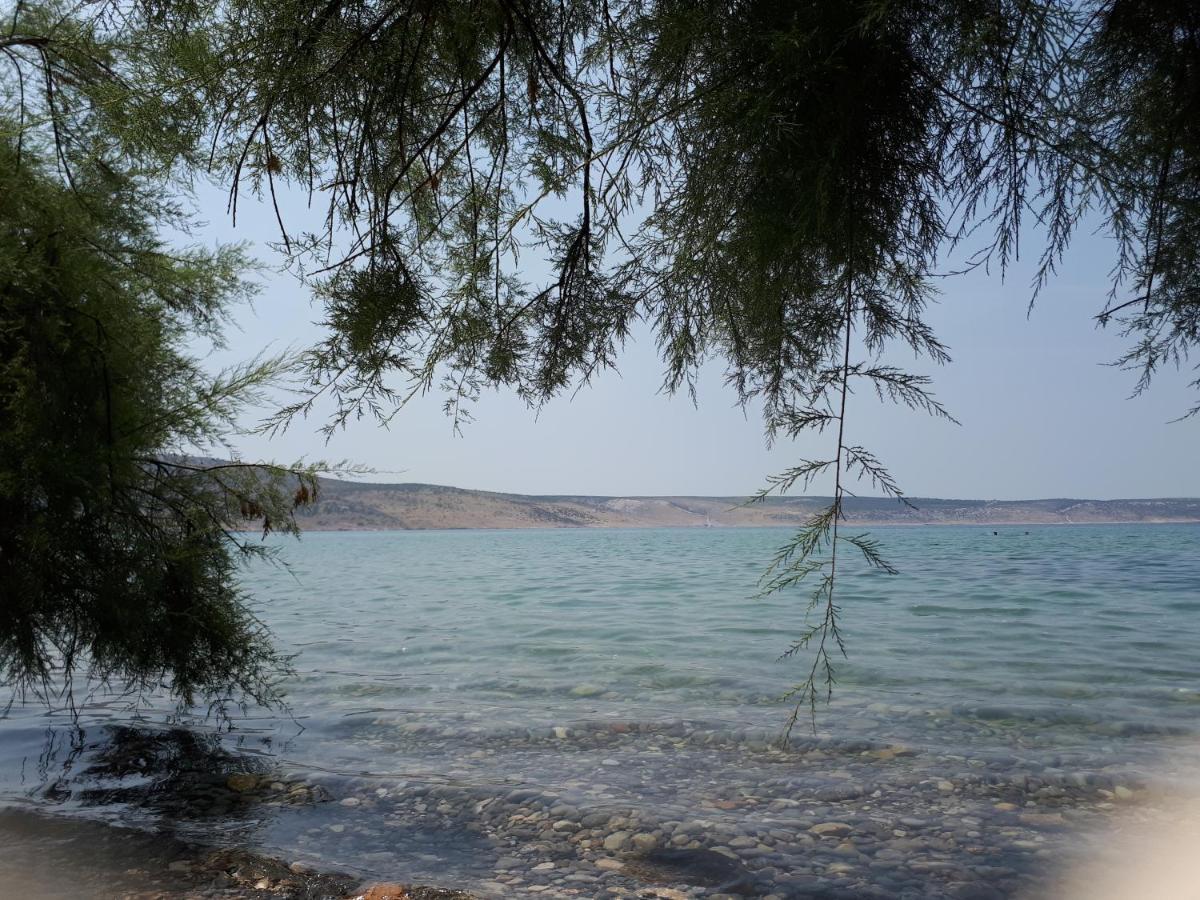 Apartmani Quattro ستاريغغاد باكلينتسا المظهر الخارجي الصورة